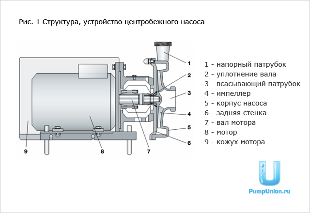 Структура, устройство центробежного насоса